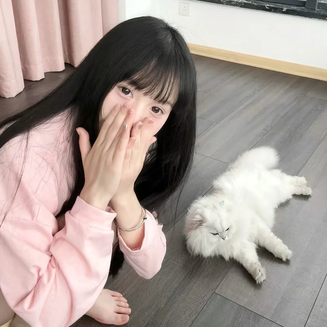 乌龟的壳其实是肋骨